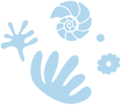 わたしたちの想い